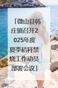 微山县韩庄镇召开2025年度夏季秸秆禁烧工作动员部署会议