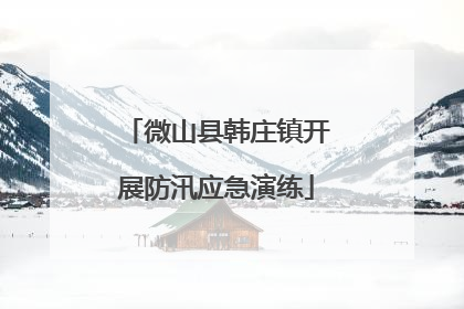 微山县韩庄镇开展防汛应急演练