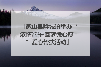 微山县驩城镇举办“浓情端午·圆梦微心愿”爱心帮扶活动
