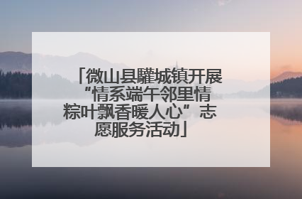 微山县驩城镇开展“情系端午邻里情 粽叶飘香暖人心”志愿服务活动