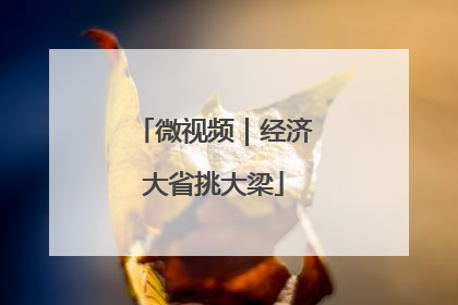 微视频｜经济大省挑大梁