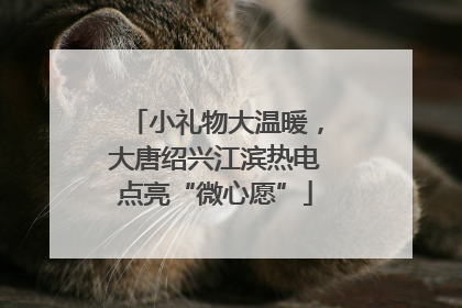 小礼物大温暖，大唐绍兴江滨热电点亮“微心愿”