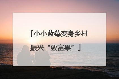 小小蓝莓变身乡村振兴“致富果”