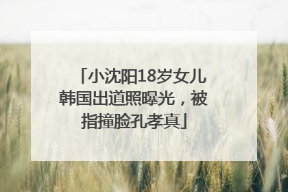 小沈阳18岁女儿韩国出道照曝光，被指撞脸孔孝真