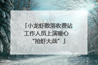 小龙虾散落收费站 工作人员上演暖心“抢虾大战”