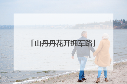 山丹丹花开拥军路