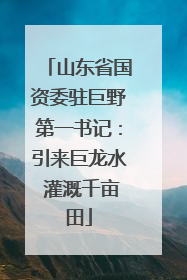 山东省国资委驻巨野第一书记：引来巨龙水 灌溉千亩田