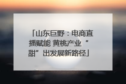 山东巨野：电商直播赋能 黄桃产业“甜”出发展新路径