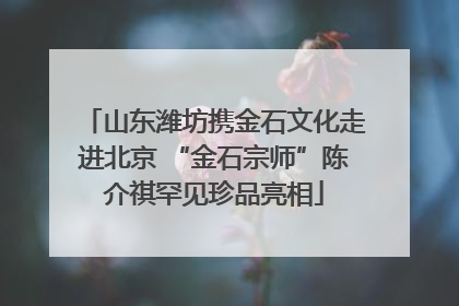 山东潍坊携金石文化走进北京 “金石宗师”陈介祺罕见珍品亮相