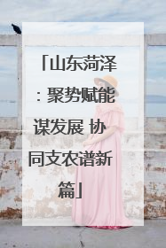 山东菏泽：聚势赋能谋发展 协同支农谱新篇