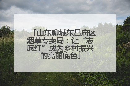 山东聊城东昌府区烟草专卖局：让“志愿红”成为乡村振兴的亮丽底色