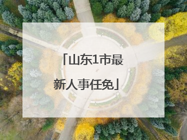 山东1市最新人事任免