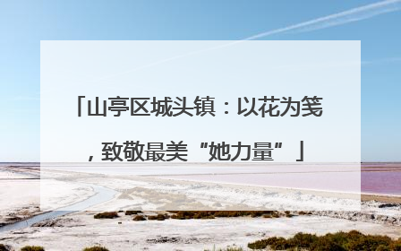 山亭区城头镇：以花为笺，致敬最美“她力量”
