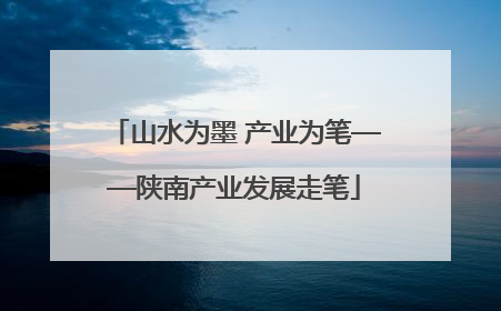 山水为墨 产业为笔——陕南产业发展走笔