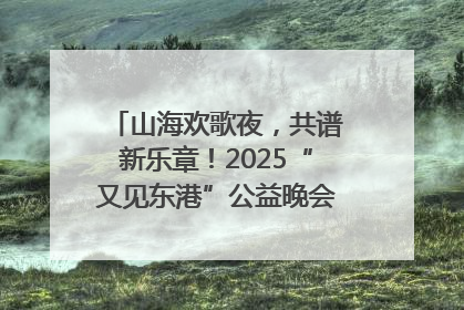 山海欢歌夜，共谱新乐章！2025“又见东港”公益晚会奏响文旅强音