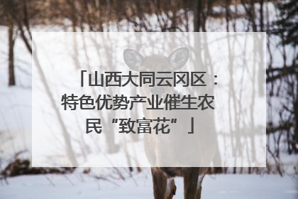 山西大同云冈区：特色优势产业催生农民“致富花”