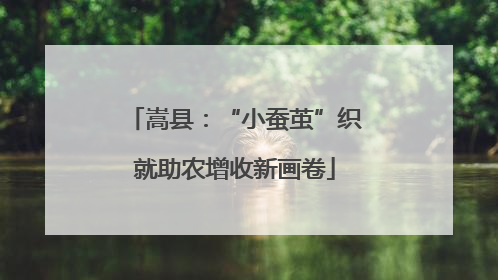 嵩县：“小蚕茧”织就助农增收新画卷