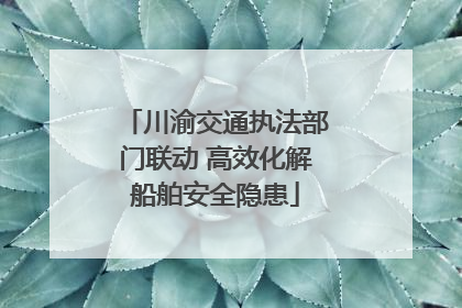 川渝交通执法部门联动 高效化解船舶安全隐患