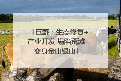巨野：生态修复+产业开发 塌陷荒滩变身金山银山