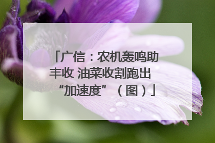 广信：农机轰鸣助丰收 油菜收割跑出“加速度”（图）