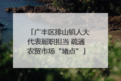 广丰区排山镇人大代表履职担当 疏通农贸市场“堵点”