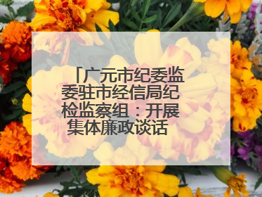 广元市纪委监委驻市经信局纪检监察组：开展集体廉政谈话 敲响廉政警钟