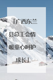 广西东兰县总工会情暖童心呵护成长