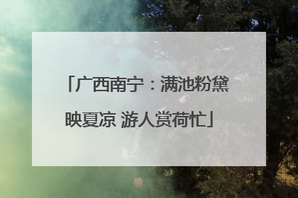 广西南宁：满池粉黛映夏凉 游人赏荷忙