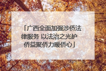 广西全面加强涉侨法律服务 以法治之光护侨益聚侨力暖侨心