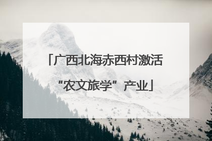 广西北海赤西村激活“农文旅学”产业