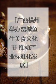 广西横州举办峦城鱼生美食文化节 推动产业标准化发展
