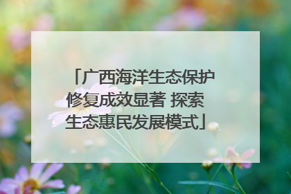 广西海洋生态保护修复成效显著 探索生态惠民发展模式