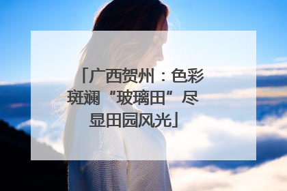 广西贺州：色彩斑斓“玻璃田”尽显田园风光
