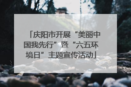 庆阳市开展“美丽中国我先行”暨“六五环境日”主题宣传活动