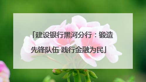 建设银行黑河分行：锻造先锋队伍 践行金融为民