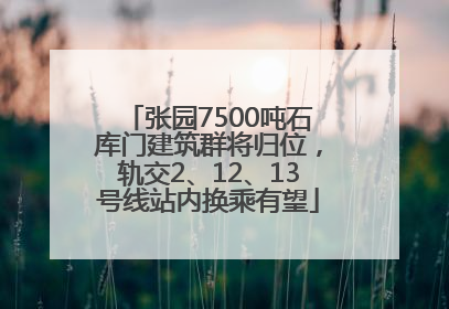 张园7500吨石库门建筑群将归位，轨交2、12、13号线站内换乘有望