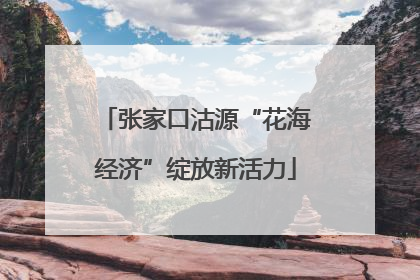张家口沽源“花海经济”绽放新活力