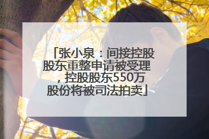 张小泉：间接控股股东重整申请被受理，控股股东550万股份将被司法拍卖
