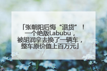 张朝阳后悔“退货”！一个绝版Labubu，被胡润拿去换了一辆车，整车原价值上百万元