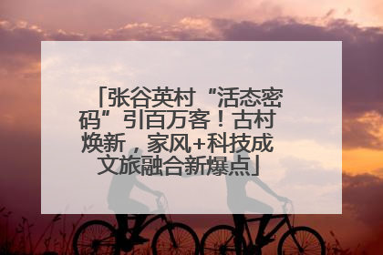 张谷英村“活态密码”引百万客！古村焕新，家风+科技成文旅融合新爆点