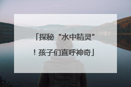 探秘“水中精灵”！孩子们直呼神奇