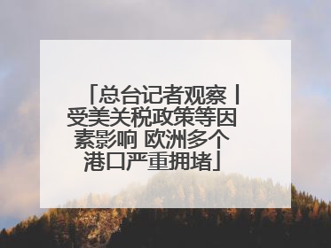 总台记者观察丨受美关税政策等因素影响 欧洲多个港口严重拥堵