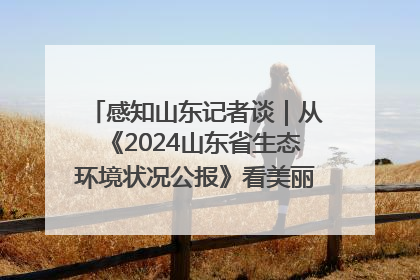 感知山东记者谈｜从《2024山东省生态环境状况公报》看美丽山东建设的“成绩单”与“任务书”