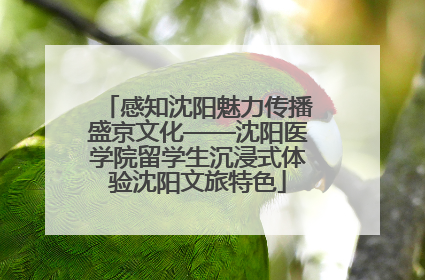 感知沈阳魅力传播盛京文化——沈阳医学院留学生沉浸式体验沈阳文旅特色