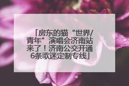 房东的猫“世界/青年”演唱会济南站来了！济南公交开通6条歌迷定制专线