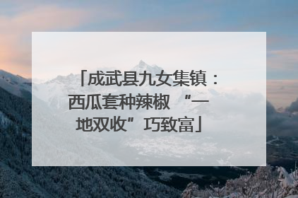 成武县九女集镇：西瓜套种辣椒 “一地双收”巧致富