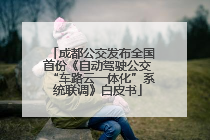 成都公交发布全国首份《自动驾驶公交“车路云一体化”系统联调》白皮书