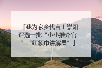 我为家乡代言！崇阳评选一批“小小推介官”“红领巾讲解员”