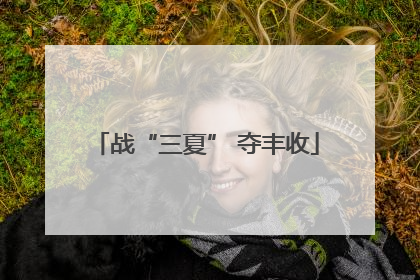 战“三夏” 夺丰收