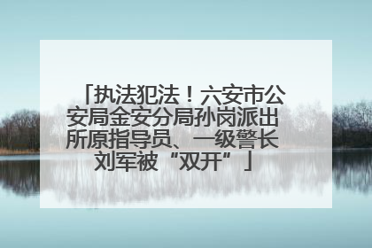 执法犯法！六安市公安局金安分局孙岗派出所原指导员、一级警长刘军被“双开”